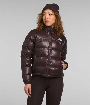 The North Face 2000 Retro Nuptse Dunjakke Dame Brune | DANMARK KXDRE