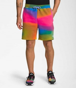 The North Face All Over Print Shorts Herre Flerfarvede | DK JKBRQ