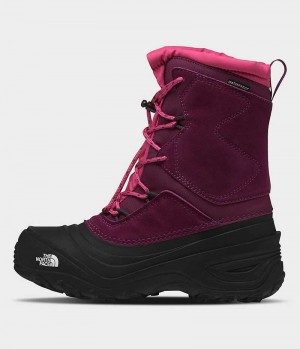 The North Face Alpenglow V Vandtætte Vinterstøvler Pige Fuchsia Sort | DK SFCDU