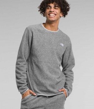 The North Face Alpine Polartec® 100 Crew Pullover Herre Grå | DK BEDMU