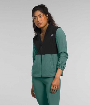 The North Face Alpine Polartec® 100 Fleece Jakker Dame Grøn | DK IXANY