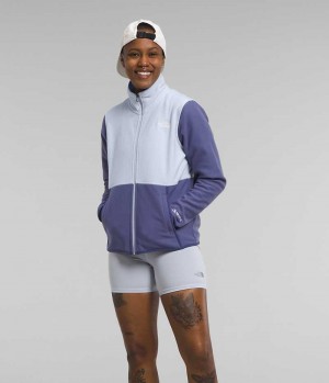 The North Face Alpine Polartec® 100 Fleece Jakker Dame Blå | DANMARK VXBDE