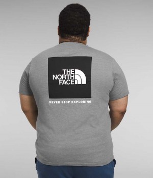 The North Face Big Kort Sleeve Box NSE T-Shirt Herre Grå | DANMARK GLDAR