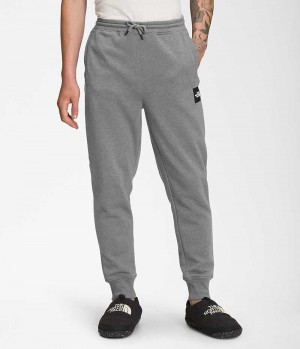 The North Face Box NSE Joggers Herre Grå | DK AYFWD