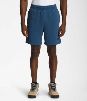 The North Face Box NSE Shorts Herre Blå | DANMARK LJOAI