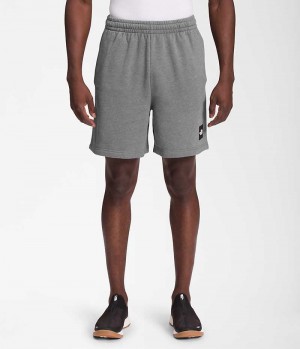 The North Face Box NSE Shorts Herre Grå | DK DKCZF