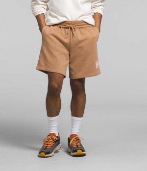 The North Face Box NSE Shorts Herre Khaki | DANMARK QRTOW