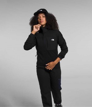 The North Face Canyonlands High Altitude Hoodie Fleece Jakker Dame Sort | DANMARK ZDTLC