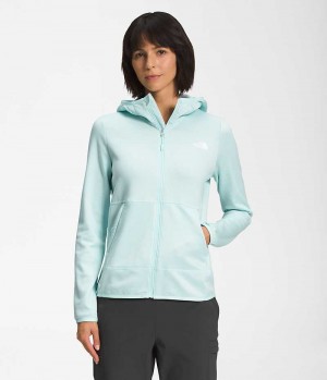 The North Face Canyonlands Hoodie Fleece Jakker Dame Lyseblå | DANMARK LCJKP