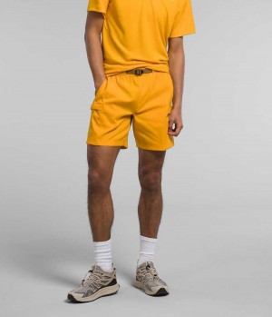 The North Face Class V Belted Shorts Herre Guld | DANMARK NBJER