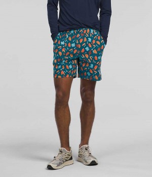 The North Face Class V Pull-On Shorts Herre Flerfarvede | DANMARK CTHYK