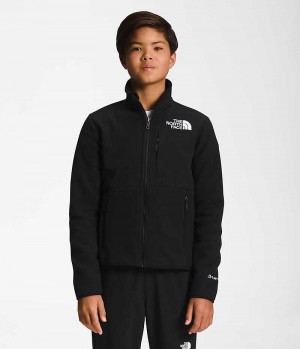 The North Face Denali Fleece Jakker Drenge Sort | DANMARK HXWKI