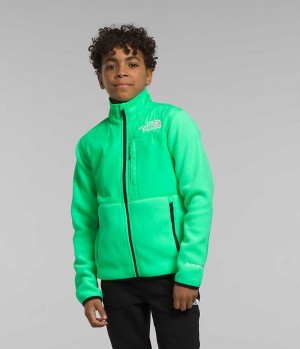 The North Face Denali Fleece Jakker Drenge Grøn | DK UZNJY