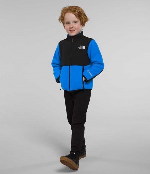 The North Face Denali Fleece Jakker Drenge Blå | DANMARK XURLA