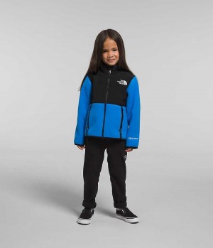 The North Face Denali Fleece Jakker Pige Blå | DANMARK CJKSX