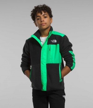 The North Face Forrest Mashup Fleece Jakker Drenge Sort Grøn | DANMARK YOLQP