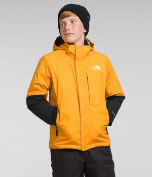 The North Face Freedom Extreme Isolerede Jakker Drenge Guld | DK TWLHA