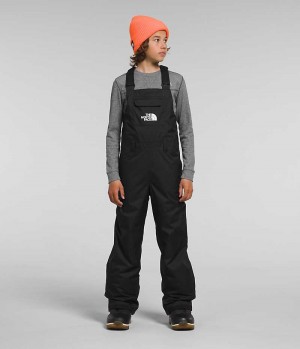 The North Face Freedom Insulated Smækbukser Drenge Sort | DK JRVQM