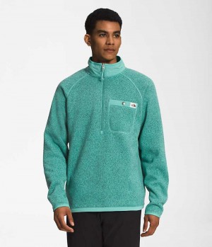 The North Face Gordon Lyons ¼-Zip Pullover Herre Turkis | DANMARK XALRP