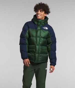 The North Face HMLYN Down Parka Herre Grøn Mørkeblå | DK TVJZC