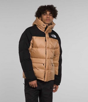 The North Face HMLYN Down Parka Herre Khaki Sort | DANMARK JIQUM