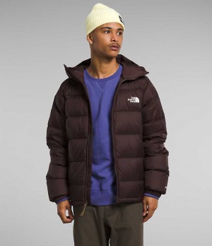 The North Face Hydrenalite™ Hoodie Dunjakke Herre Bordeaux | DANMARK WGZJX