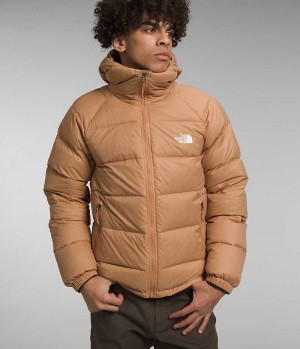 The North Face Hydrenalite™ Hoodie Dunjakke Herre Khaki | DANMARK DPXTB