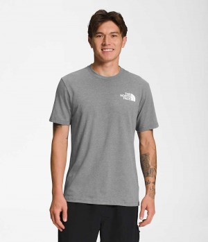 The North Face Kort Sleeve Box NSE T-Shirt Herre Grå | DK BUPFL