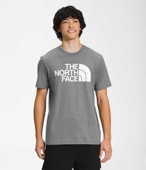 The North Face Kort Sleeve Half Dome T-Shirt Herre Grå | DK AQSTY