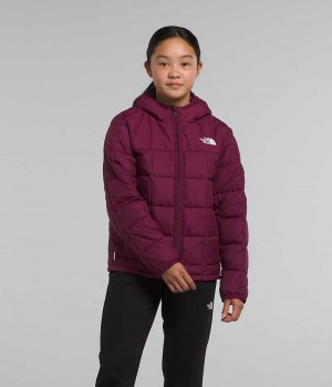 The North Face Lhotse Dunjakke Pige Bordeaux | DANMARK ELIDW