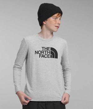 The North Face Long Sleeve Grafisk T-Shirt Drenge Lysegrå | DANMARK TSWQD