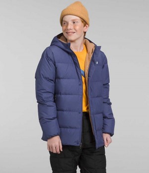 The North Face North Down Fleece-Forede Parka Drenge Blå | DANMARK VYLHF