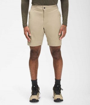 The North Face Paramount Active Shorts Herre Beige | DANMARK MSZNC