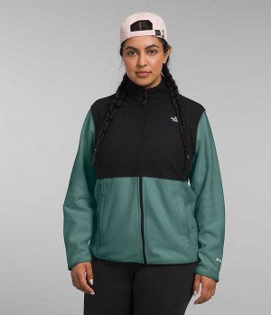 The North Face Plus Alpine Polartec® 100 Fleece Jakker Dame Sort Grøn | DANMARK QVBFS