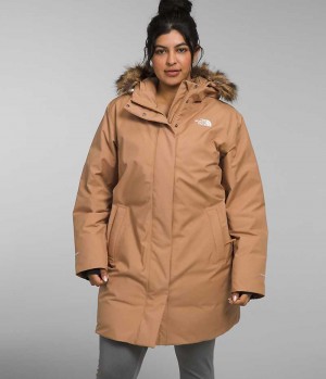 The North Face Plus Arctic Parka Dame Brune | DANMARK BDIUH