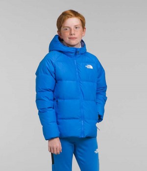 The North Face Reversible North Hætte Dunjakke Drenge Blå | DANMARK OAKIY