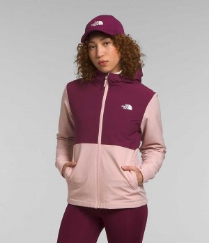 The North Face Shelbe Raschel Hoodie Softshell Jakke Dame Lyserød | DK OSLWB