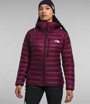 The North Face Summit Series Breithorn Hoodie Dunjakke Dame Bordeaux | DK HZRUB