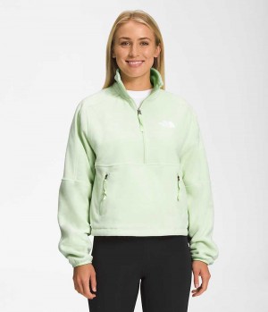 The North Face TNF™ Polartec® 100 ¼-Zip Fleece Jakker Dame Mintgrønne | DK AWKRC