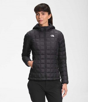 The North Face ThermoBall™ Eco Hoodie 2.0 Dunjakke Dame Sort | DK QVGDZ