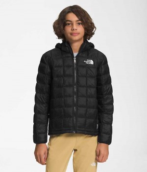 The North Face ThermoBall™ Hætte Dunjakke Drenge Sort | DANMARK WIKJT