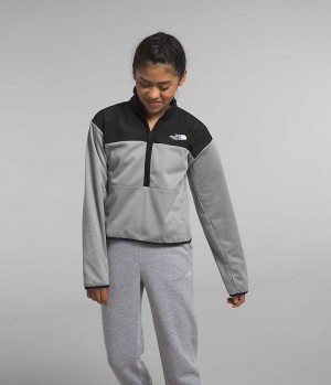 The North Face Vinter Warm ½-Zip Sweatshirt Pige Grå | DANMARK AKUGP