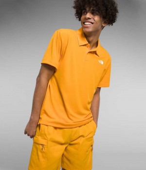 The North Face Wander Poloshirt Herre Guld | DK GYVXZ