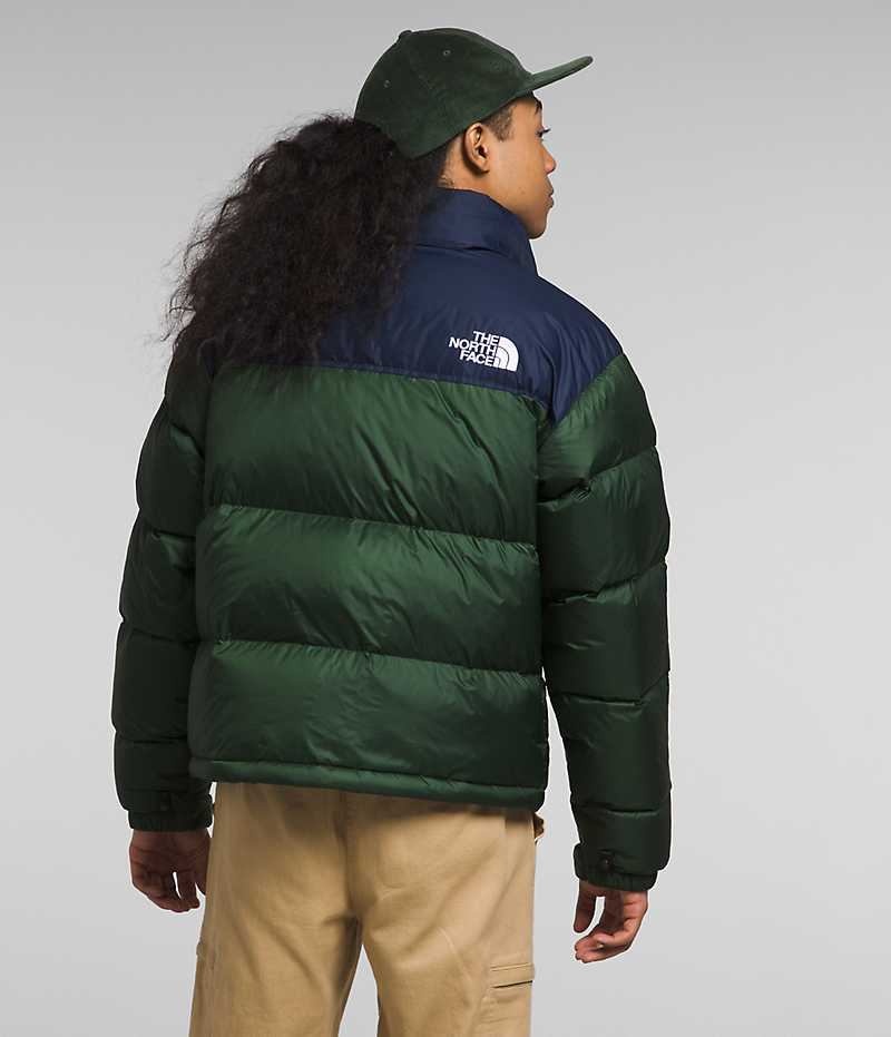 The North Face 1996 Retro Nuptse Dunjakke Herre Grøn Mørkeblå | DANMARK PXFME