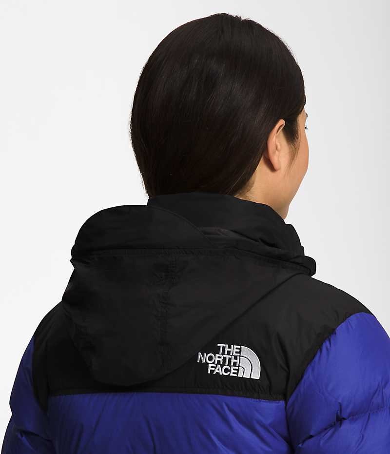 The North Face 1996 Retro Nuptse Dunjakke Dame Blå | DANMARK XKUOJ