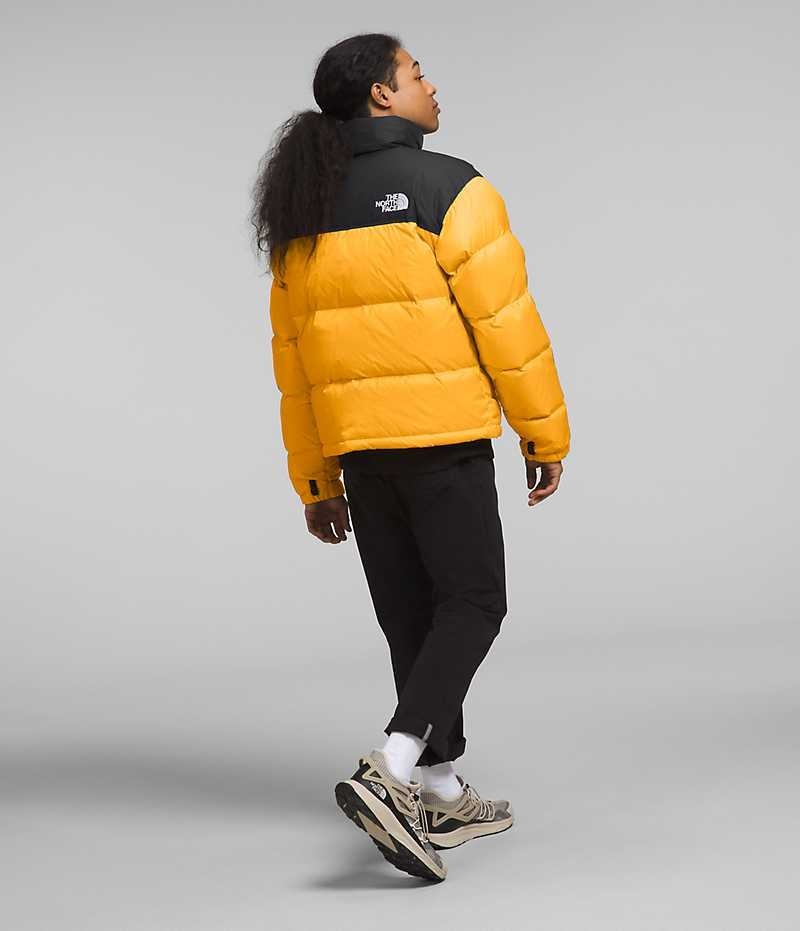 The North Face 1996 Retro Nuptse Dunjakke Herre Guld Sort | DANMARK AWMCX