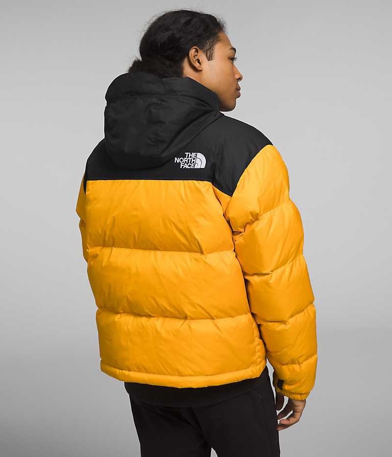 The North Face 1996 Retro Nuptse Dunjakke Herre Guld Sort | DANMARK AWMCX