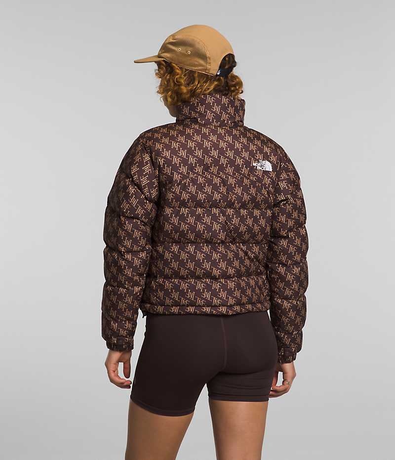 The North Face 2000 Retro Nuptse Dunjakke Dame Brune | DK AUBKR