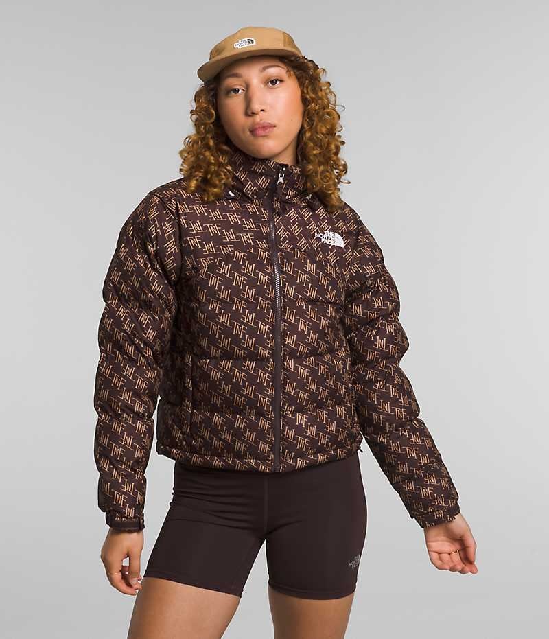 The North Face 2000 Retro Nuptse Dunjakke Dame Brune | DK AUBKR