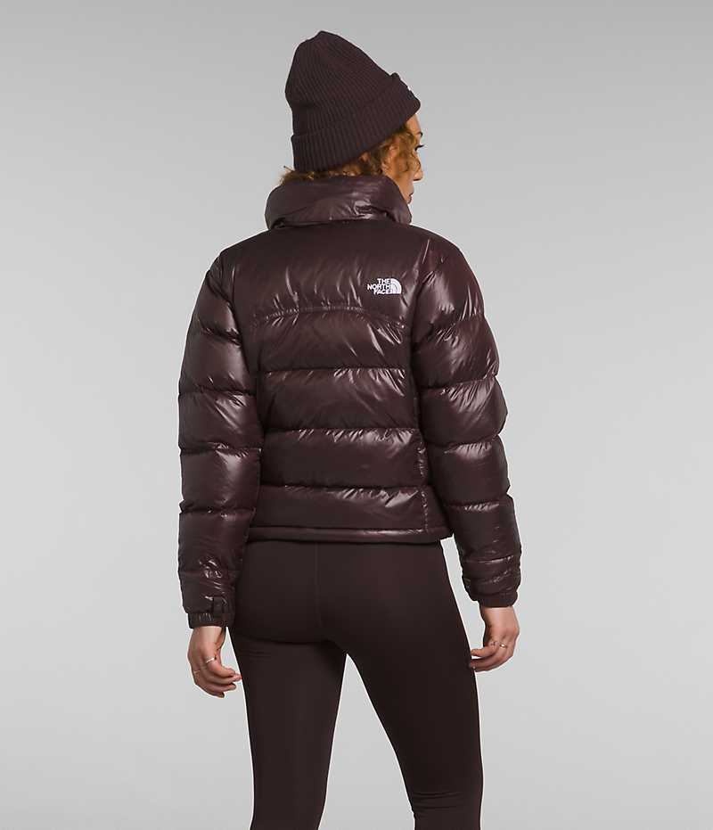 The North Face 2000 Retro Nuptse Dunjakke Dame Brune | DANMARK KXDRE